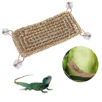Reptile Lizard Hammock