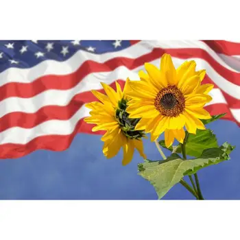 

Diamond Painting Round Drill 5D DIY Cross Stitch Sunflowers Under The Blue Sky Embroidery Art Home Decor Art Kit Gifts