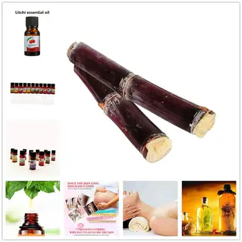 

100% Natural Sugar cane aromatherapy essential oils Aroma Lamps Office Office Humidifiers Automotive Perfume Replenisher