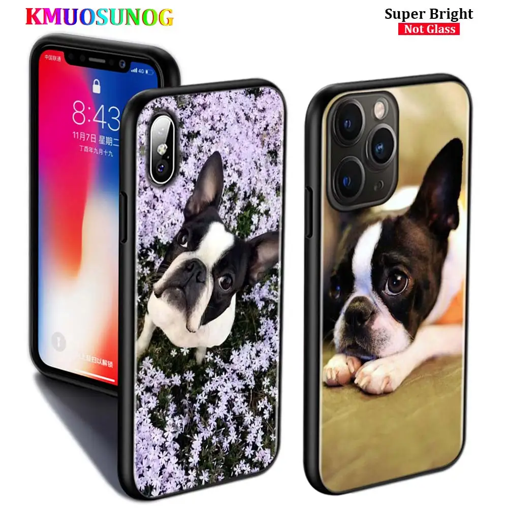Черный силиконовый чехол Boston Terrier Dog Для iPhone 11 11Pro XS MAX XR X 8 7 6S 6 Plus для телефона с