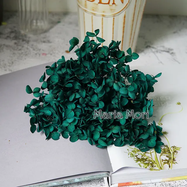 Anna Hydrangea  Flowers  Little  Leaves Preserved Hydrangea Decor  Office Decor  DIY Flowers Color S006