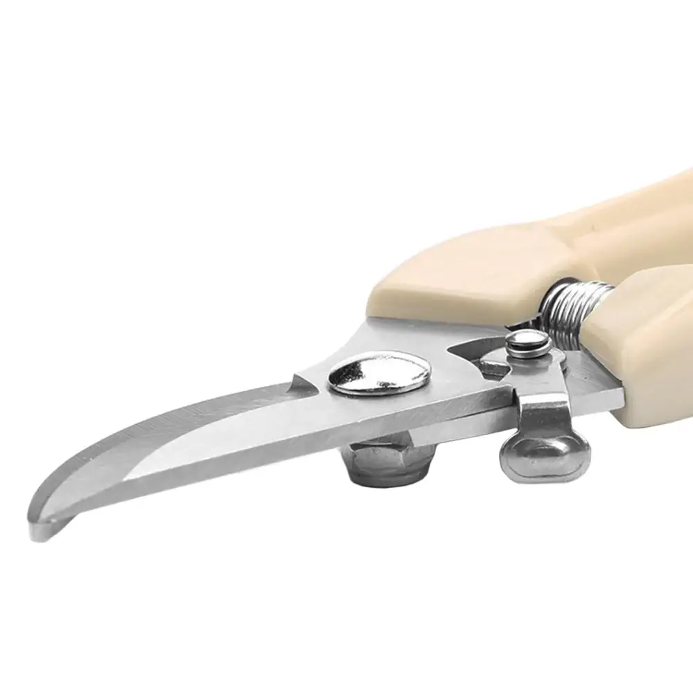 Stainless Steel Garden Scissors Plants Fruit Tree Pruning Shears Grafting Tool Flower Bonsai Pruner Gardening Secateurs Scissor