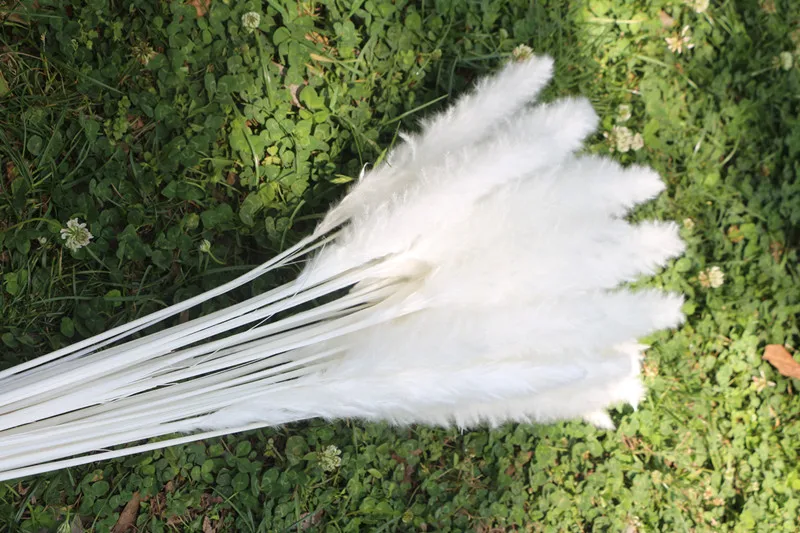 15Pcs Dried Reed Flower Arrangement Natural Pampas Grass For  Modern Home Decoration Party Backdrops Wedding Supplies