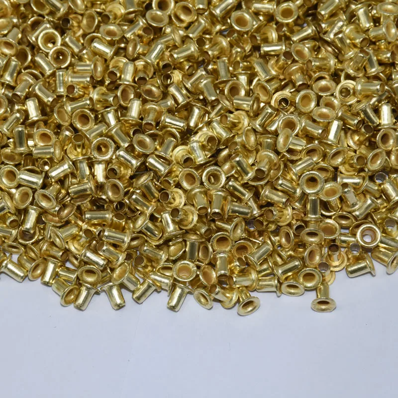 12100 pcs Bee Hives Installation Thread Hole Copper Plated Material About Beekeeping Tools Copper Eyes Beekeeping supplies