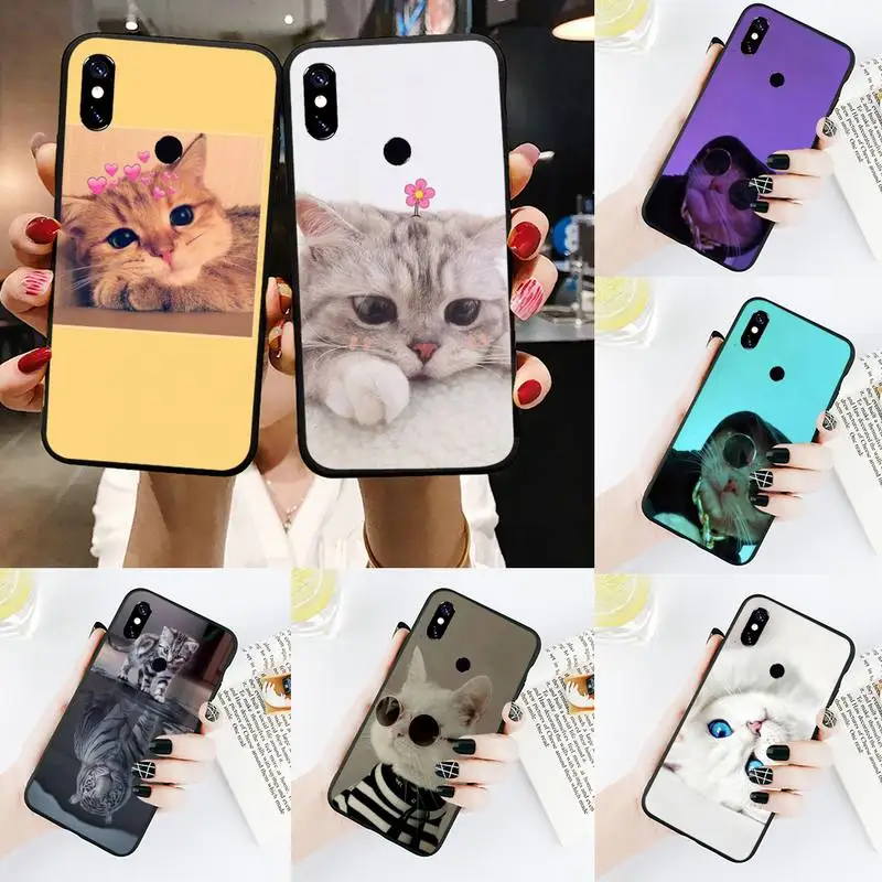 

Cute cat funny animal Phone Case For Xiaomi Redmi 7 9t a3 9se k20 mi8 max3 lite 9 note 8 9s 10 pro
