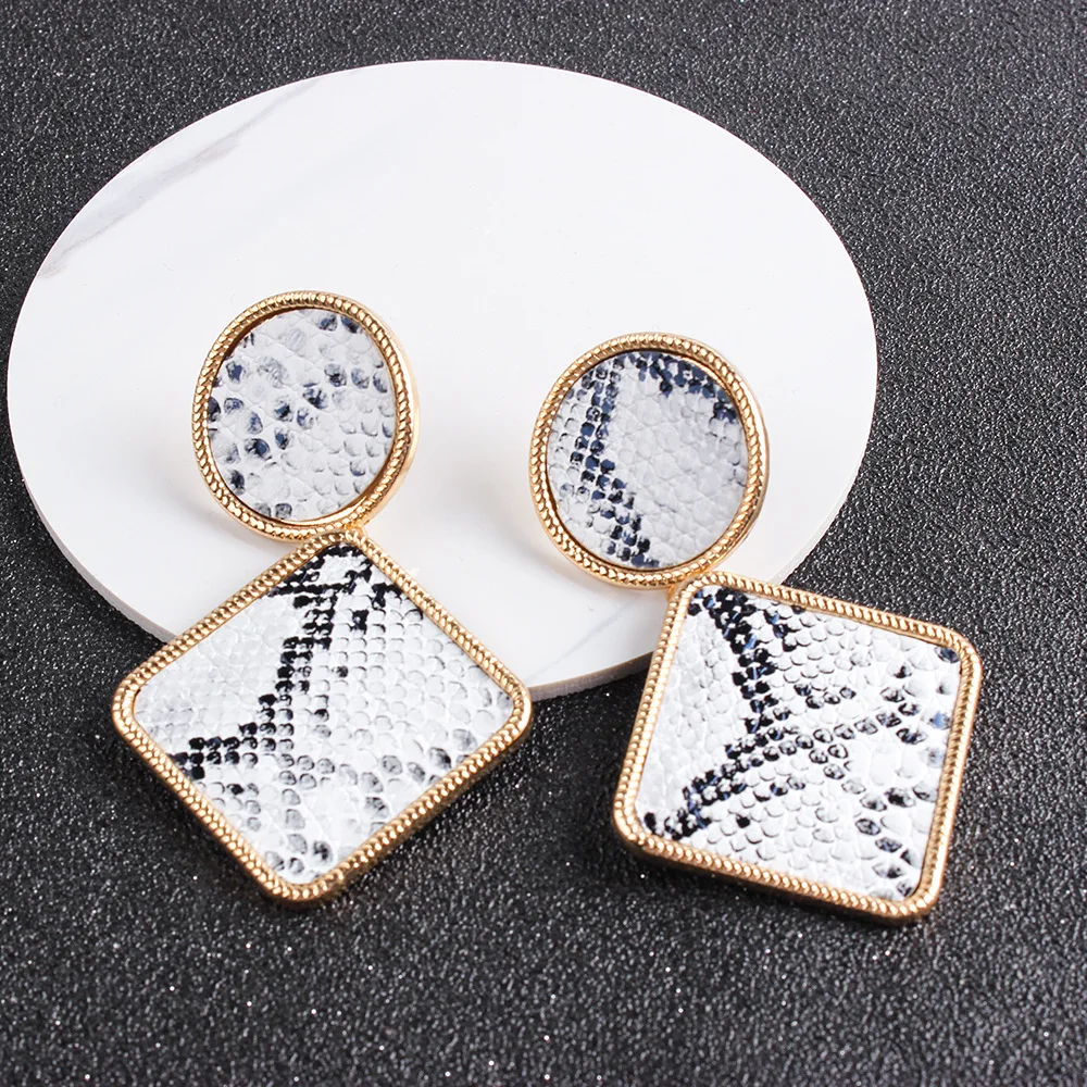 

Retro Trend Hundred Matches Exaggerated Leopard Print Metal Geometric Earrings Fashion Ladies Jewelry