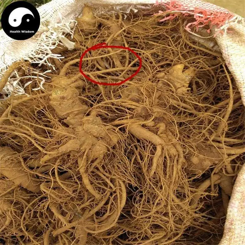 

Notoginseng End Roots, Radix Pseudoginseng, San Qi, Tian Qi Xu