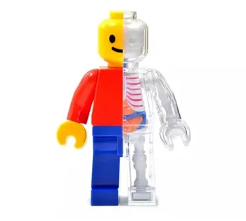 

Cartoon model Classic brick man 4d master puzzle Assembling toy Perspective bone anatomy model