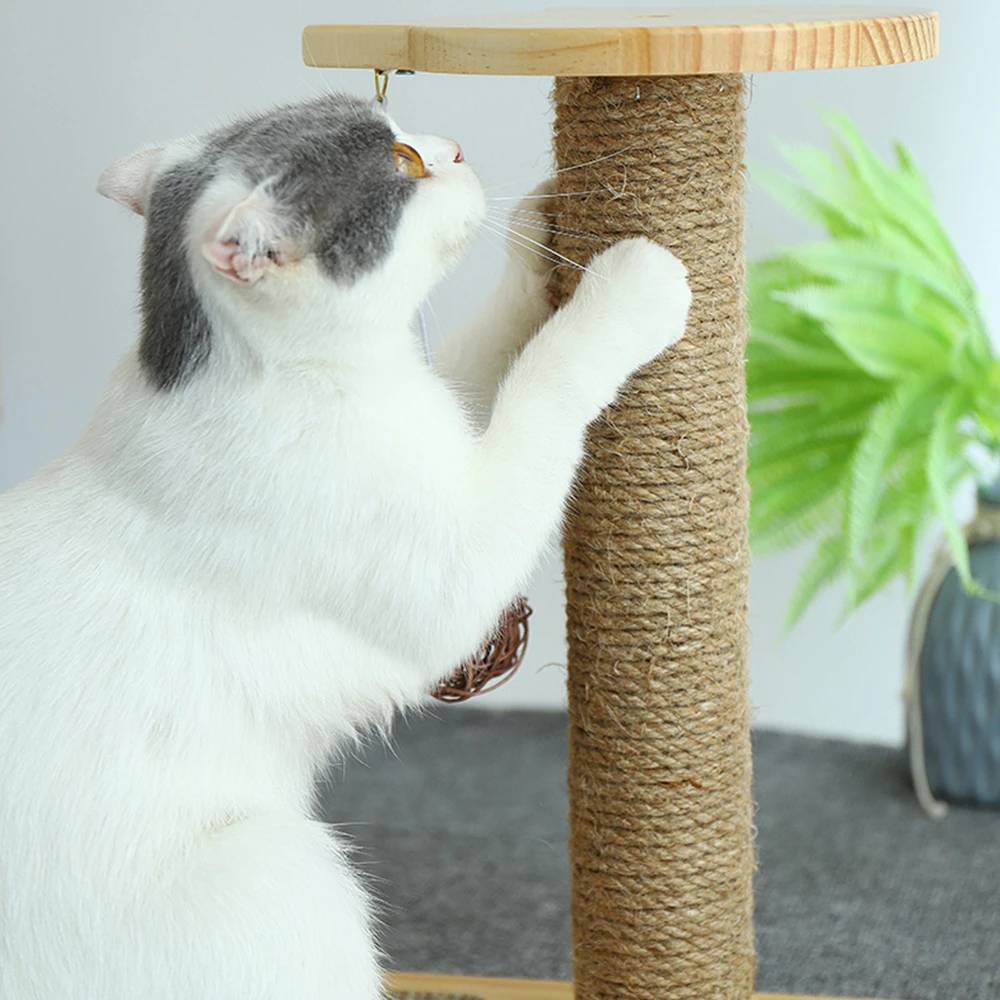 cat scratching station