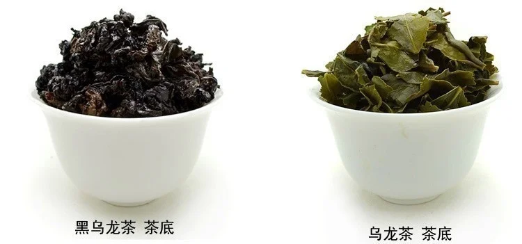 T261OxXiXcXXXXXXXX_!!349858130