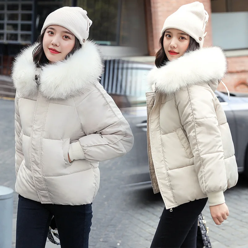 

Large Size Fur Collar Cotton-padded Clothes Women's Short Hooded Slimming down Jacket Cotton-padded Clothes Women Jacket AliExpr