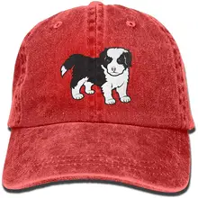 Бордюр колли Взрослый Регулируемый деним хлопок папа шляпа бейсболки