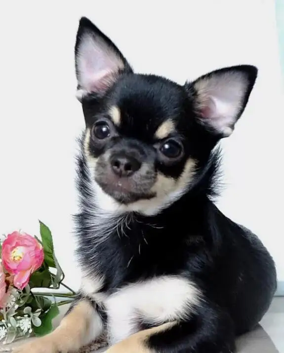 QQ截图20191018120138