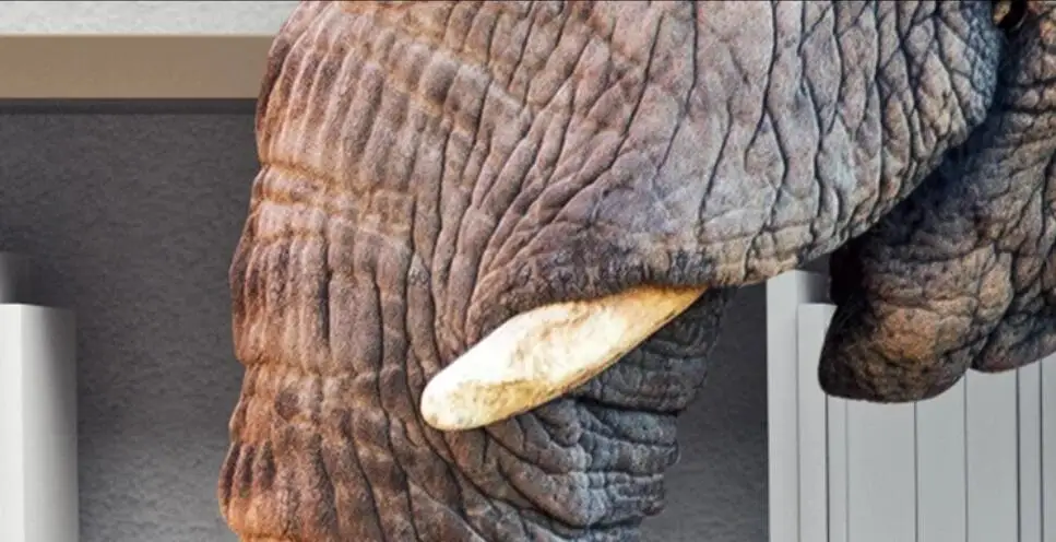 QQ截图20190507145430