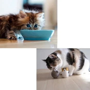 

40ml Cat Natural Healthy Treats Catnip Fresh Organic Dried Catnip Improve Pet Appetite DIY Kittens Scratching Toys