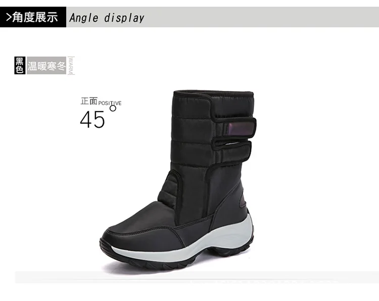 750_33.jpg