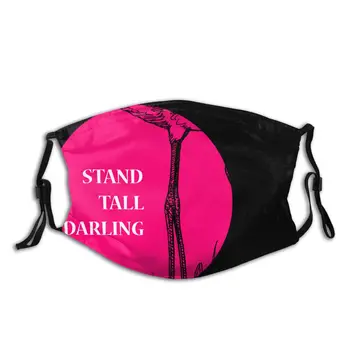 

protective mask with filter Stand Tall Darling Pink Flamingo Bird anti dust PM2.5 reuse adult teen child girl
