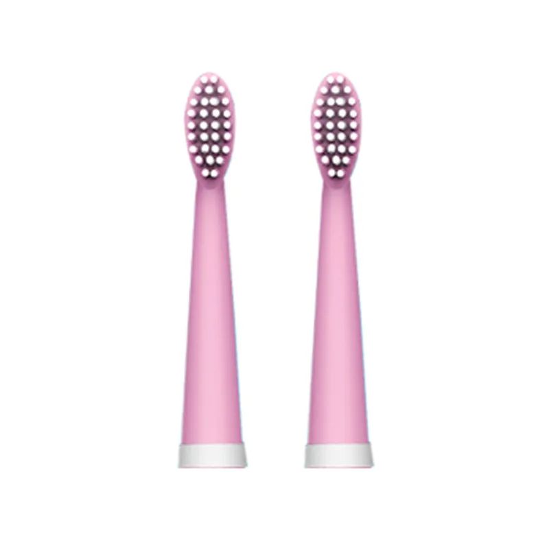 

Manufacturers Supply Electric Toothbrush Head Universal PT Series Cleaning Brush Replacement Head Universal Multi-color Selectab