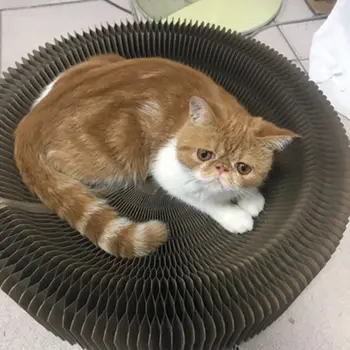 

Corrugated Cardboard Cat Scratcher Lounge Bed Sofa Couch with Catnip for Kitten
