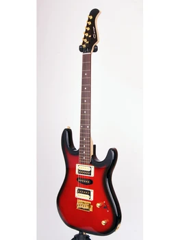 

E252rds electric guitar, Caraya
