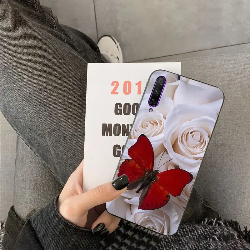 Red butterfly on white roses flower