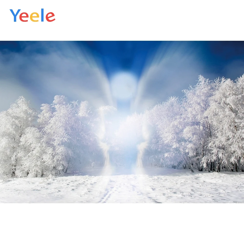 

Winter Snow Forest Sunlight Angel Scenery Home Decoration Backdrop Photography Custom Photographic Background For Photo Studio