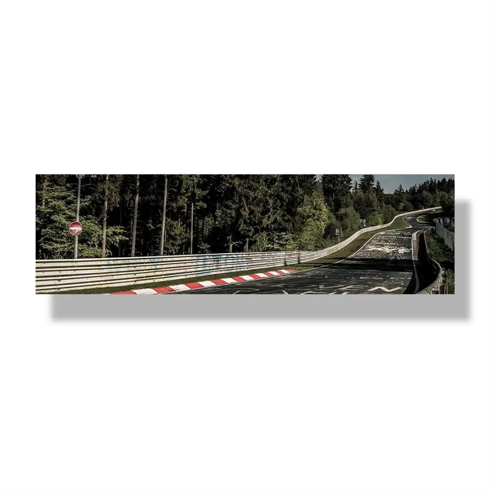 K1374-2 Nurburgring ралли дорожный спортивный автомобиль трек HD печать картина Картина лес Настенная картина с ландшафтом плакат гостиная домашний Декор картина - Color: K1374-2
