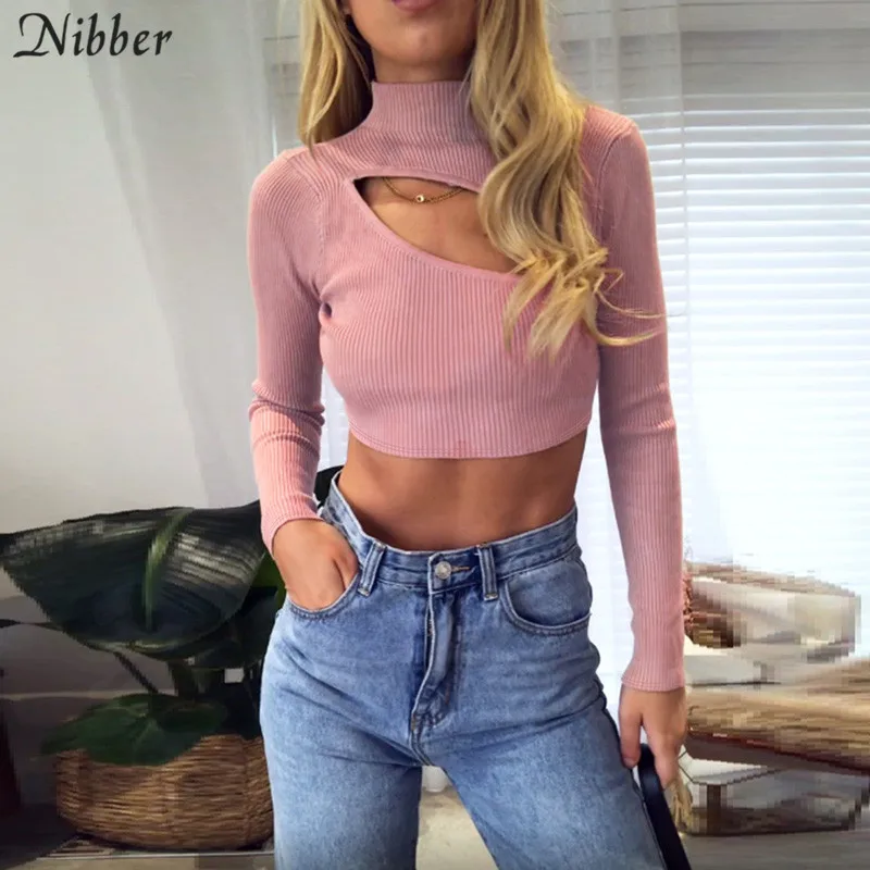 Nibber, осенняя мода, полый чистый вязаный короткий топ, Женские базовые футболки с длинным рукавом,, элегантные тонкие топы, женские футболки для отдыха - Цвет: Розовый
