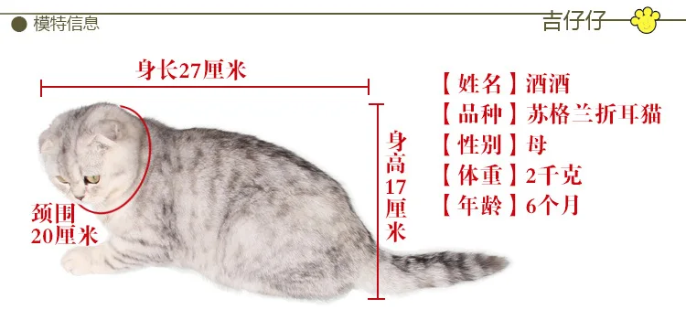 A062鳄鱼详情图_14