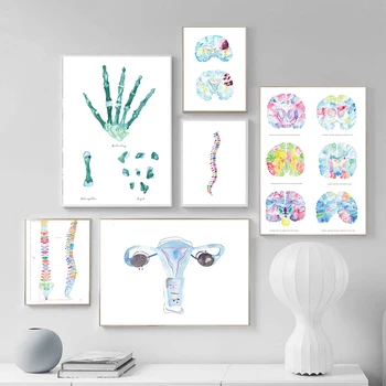 

Decoration Spine Skeleton Canvas Prints And Posters Physiotherapist Wall Art for Painting Wall Pictures For Chiropractic Room
