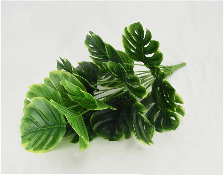 11789667405_1855610624_04