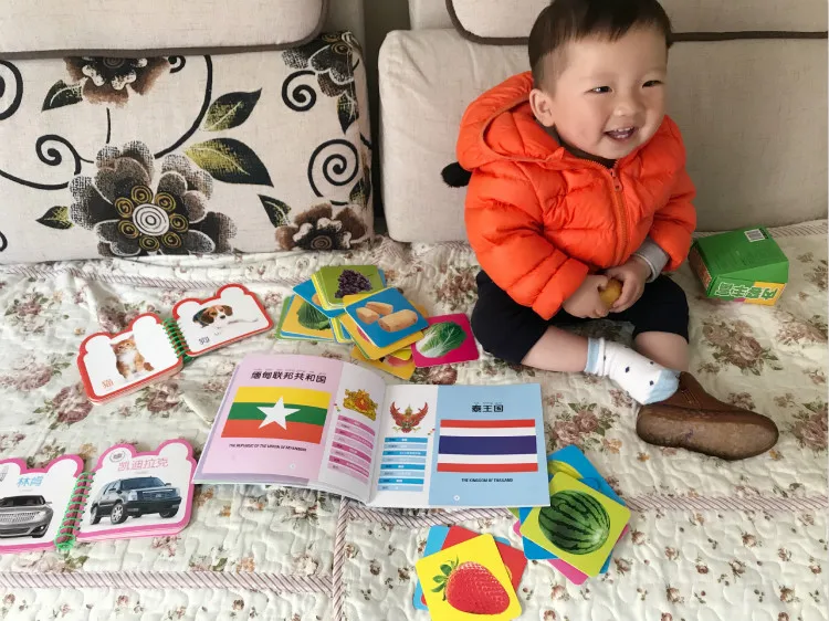Cartões de Aprendizagem Livro com Pinyin Cartões de Presente para Dois Setschildren Educação Precoce Fruta Vegetal Animal Chinês Inglês Imagens Cartões de Presente para 18 Computers & Electronics