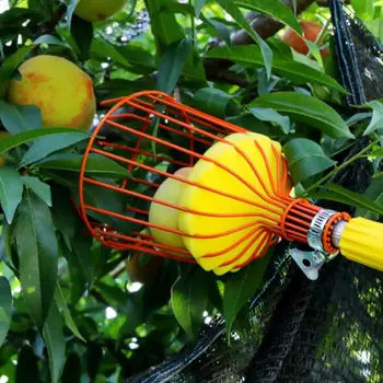 

Stainless Steel Deep Fruit Picker Basket Basket Convenient Horticultural Gardening Orange Apple Peach Pick Tools