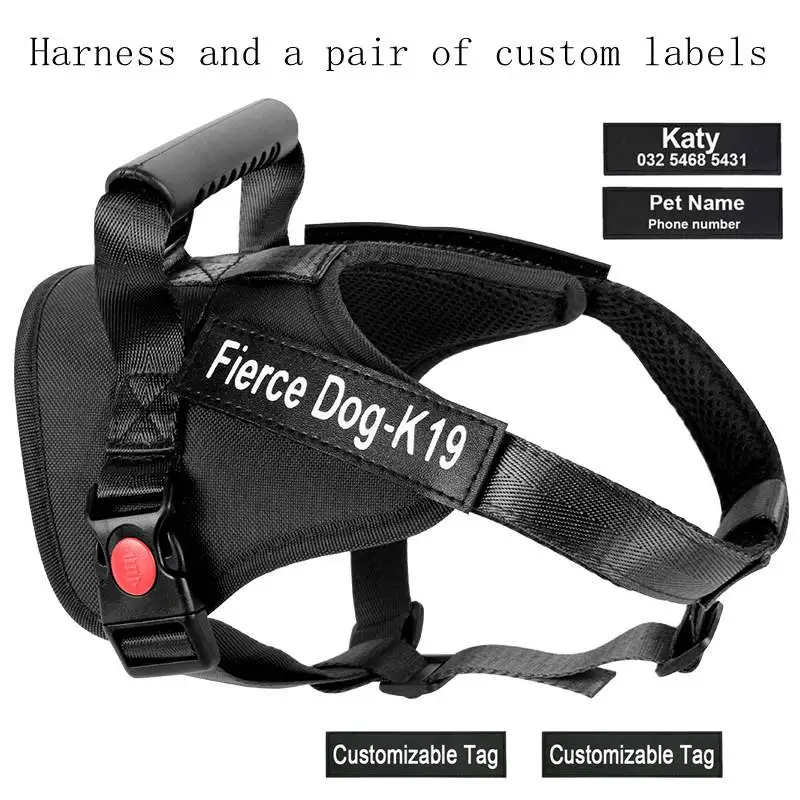 14466791434_1937179884