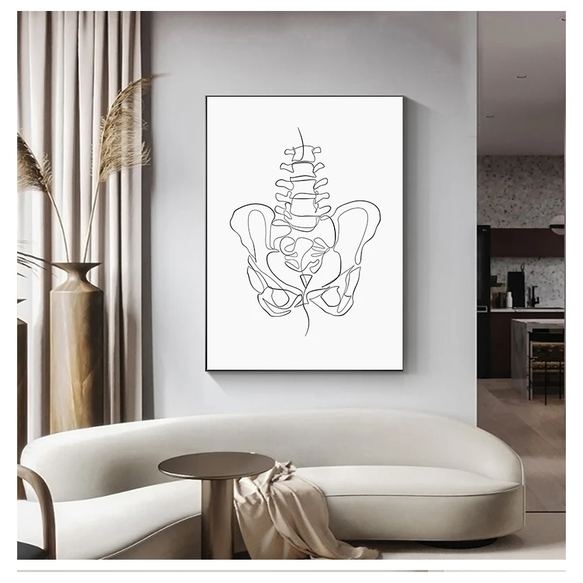 Chiropractor Office Decor Vertebrae Sketch Poster Anatomical Human Wall