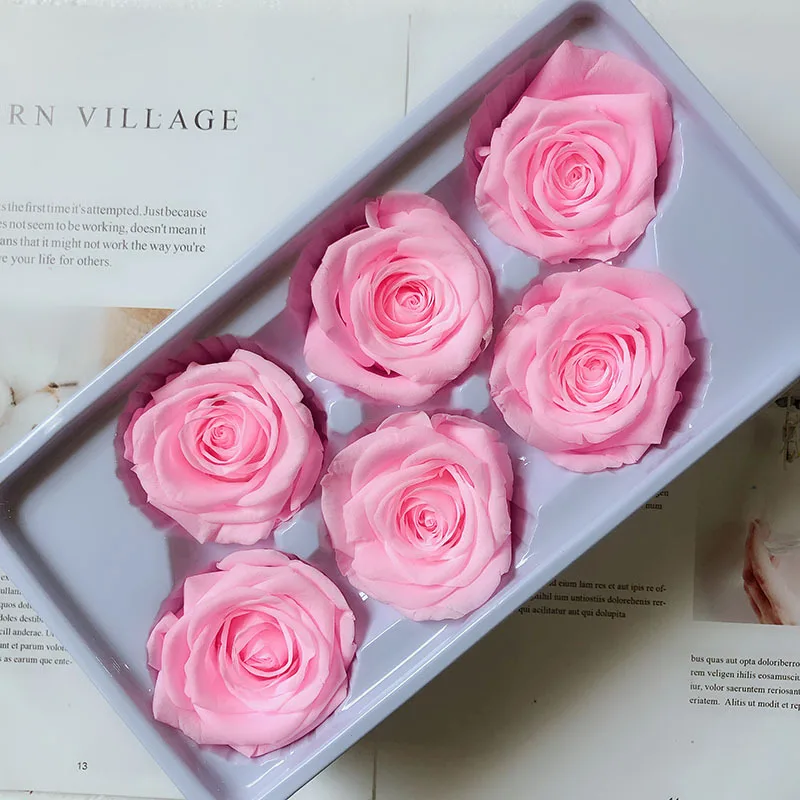 rose (16)
