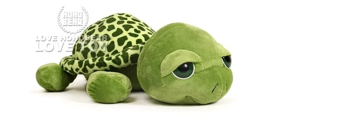 Recruit Agents Love Apartment Celebrity Style Zeng Xiaoxian Love Bigeye Turtle Pillow Plush Sofa Cushion