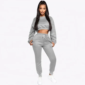

TWO PIECE SET Crop Top Women Tracksuit High Waist Sportswear Sexy 2 PIECE SET Velvet Sweat Suit Female Jogger Pants Sweatshirt