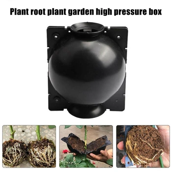 

Plant Rooting Ball Grafting Rooting Growing Box Breeding Case for Garden Botany High Pressure Root Control Device for Sapling