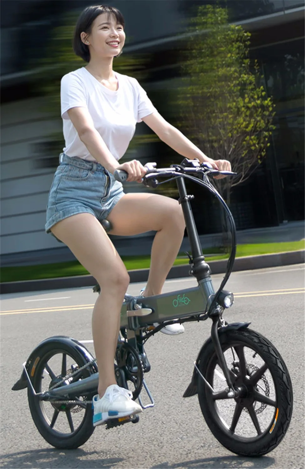 Best 16 Inch Fiido D2 Adult Electric Bicycle 2 Wheels Electric Bicycle Mini 250W Folding Portable Electric Bike 5