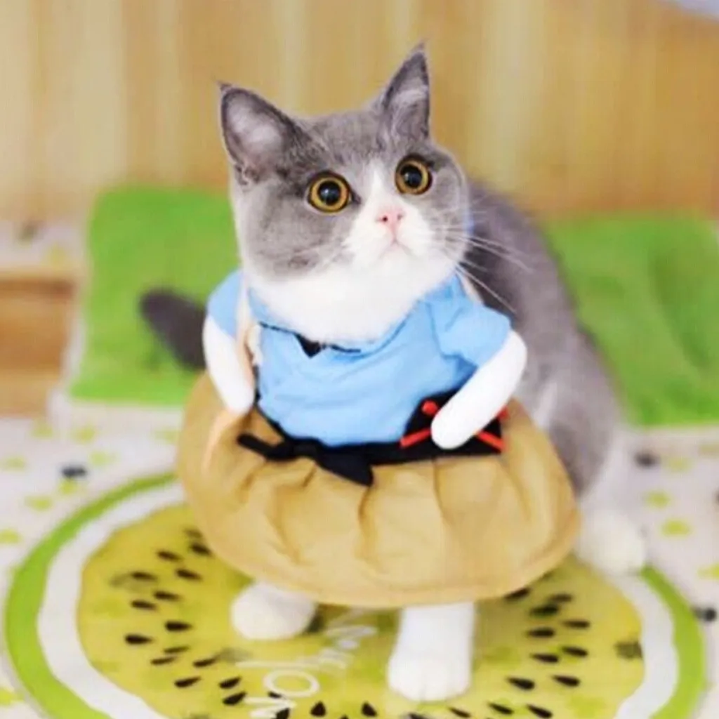 Смешные костюмы для домашних животных кошек одежда платье косплея