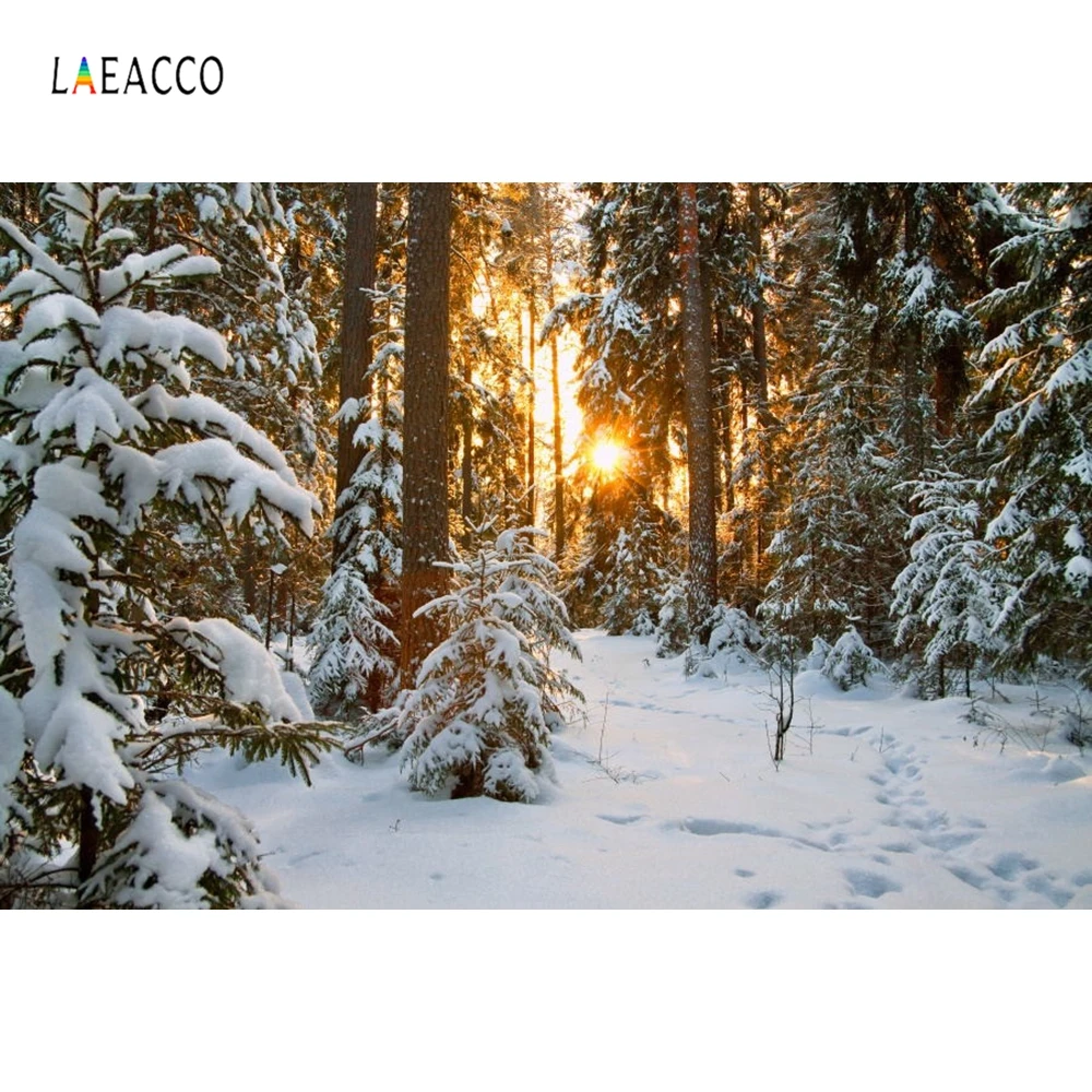 

Laeacco Winter Snow Forest Trees Sunset Scenic Portrait Photography Background Customized Photographic Backdrop For Photo Studio