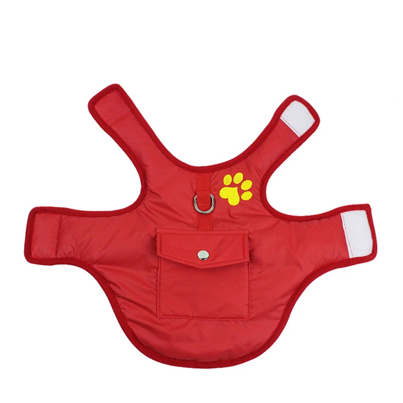 11786343957_609020808