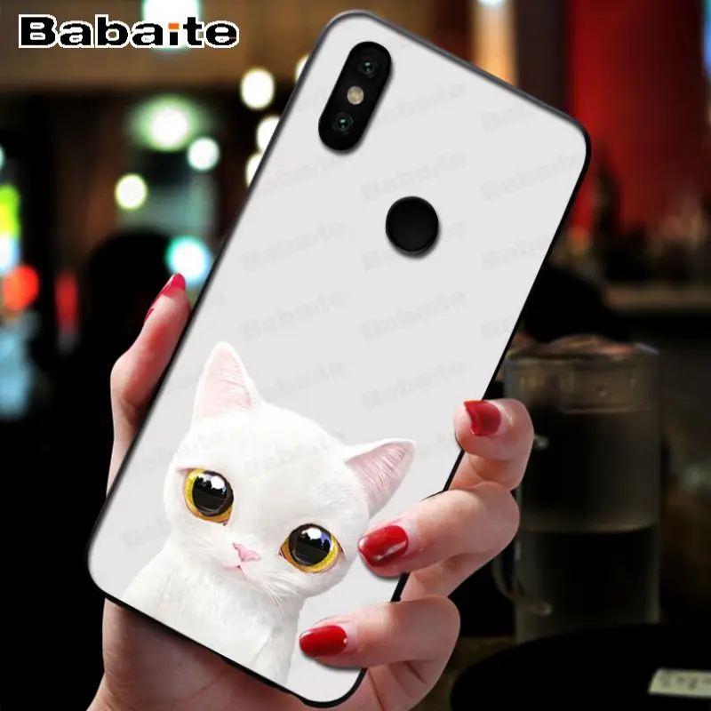 Kawaii lovely Cat 