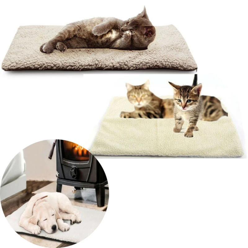 electric pet bed