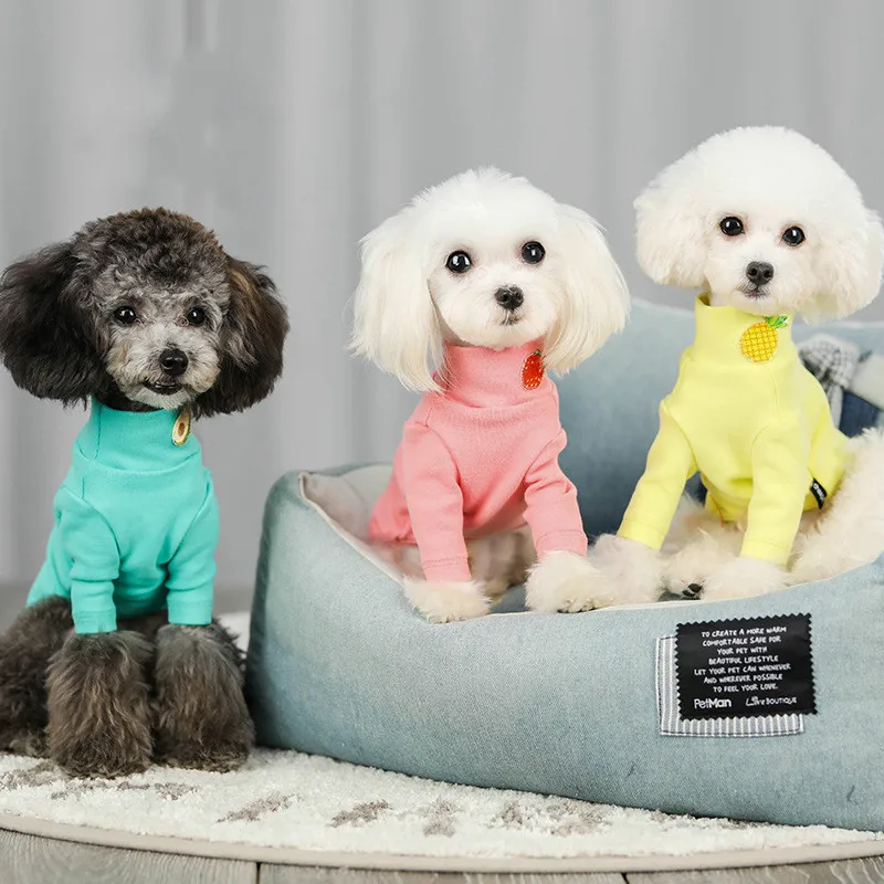 

Pet Dog Clothes, Two-legged Autumn Winter Leisure Cute Sports Wind Fruit Base Warm Sweater Small and Medium Pet Luxury Clothing