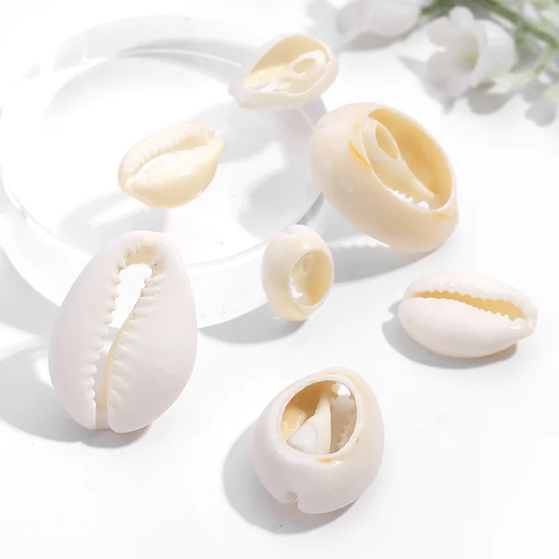 

10pcs Natural Sea Shell Loose Beads DIY Craft Beach Conch Shell Pendant Jewelry Accessories Cowry Cowrie Home Decoration Crafts