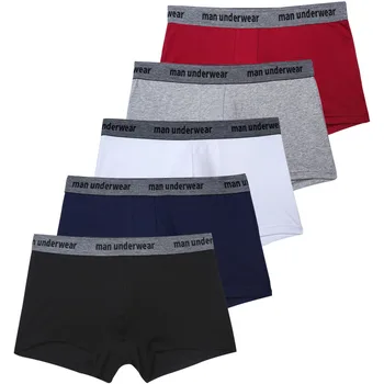 5pcs/Set Men Underpants Breathable Pure Cotton Man Underwear Sexy Hot Fashion Solid Boxer Shorts Intimate Men's Panties For Gay 1