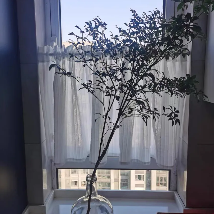 TRINGLE EMBOUT TRINGLE,Curtain (no rod)L72cm X W200cmRideaux à moitié occultants blancs