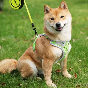 Adjustable harness soft breathable dog harness harness mesh adjustable harness dog dog cat pet dog chest harness leash